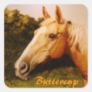 Buscar caballo blanco pegatinas Para niños