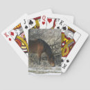 Buscar mustang barajas de cartas Ecuestre