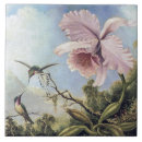 Buscar orquídea azulejos Tropical