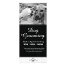 Buscar perro tarjetas publicitarias Groomer del perro