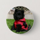 Buscar pomerania chapas Negro