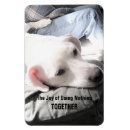 Buscar gif imanes Cumpleaños