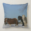 Buscar miniatura cojines Foto