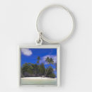 Buscar secuestrado accesorios Palma