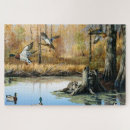 Buscar mapaches puzzles Para todos