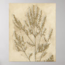 Buscar follaje posters Botánico