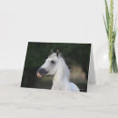 Buscar andaluz tarjetas Raza