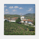 Buscar douro imanes Vino