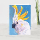 Buscar cockatoo tarjetas Aves
