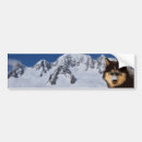Buscar husky siberiano pegatinas parachoque Perro