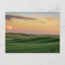 Buscar campos de trigo postales Granja