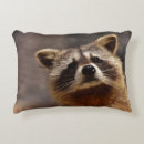 Buscar raccoon cojines Adorable