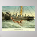 Buscar calamar posters 4 º nave