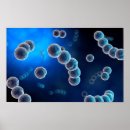Buscar organismo posters Ciencia