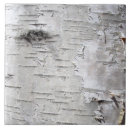 Buscar corteza de abedul azulejos Bosque