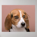 Buscar partes del cuerpo posters Gafas