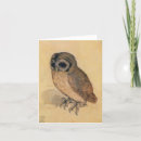 Buscar desplome tarjetas Pájaro