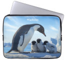 Buscar pingüinos fundas General y unisex