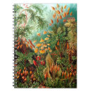 Buscar plantas libretas Para todos