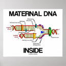 Buscar biología molecular posters Genética