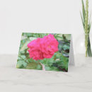 Buscar dia madres hermana Día