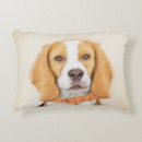 Buscar beagle inglés cojines Aguijón