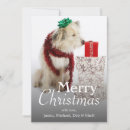 Buscar people tarjetas Pets