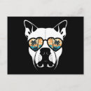 Buscar veterinarios postales Para mascotas