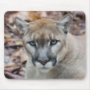 Buscar puma alfombrillas de raton Vida silvestre