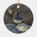 Buscar junco adornos Naturaleza