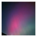 Buscar aurora posters Rosa