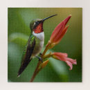 Buscar colibrí puzzles Néctar