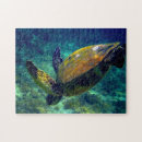 Buscar tortuga de mar hawaiana puzzles Hawaiano