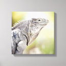 Buscar toma el sol posters Naturaleza