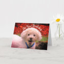 Buscar sello del perro fotografía Cumpleaños