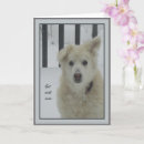Buscar perros de la nieve tarjetas Exterior