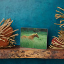 Buscar caballos salvajes placas fotograbadas Rancho