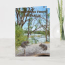 Buscar del registro tarjetas Para todos