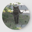 Buscar maullido arte Animal