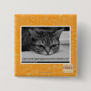 Buscar alarma chapas Puedo tengo cheezburger