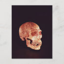 Buscar la evolución del hombre postales Primitivo