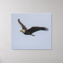 Buscar freedom arte Peace