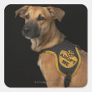 Buscar perro del rescate pegatinas Animales