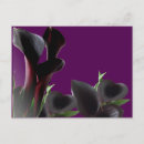 Buscar flores negras postales Foto