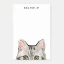 Buscar tabby General y unisex