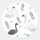 Buscar cisnes pegatinas Floral