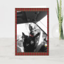 Buscar terrier escocés tarjetas Scotty