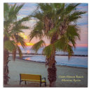 Buscar amanecer en la playa azulejos Palmeras