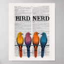 Buscar nerd arte Observación de aves