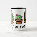 Buscar rosa desierto tazas Suculentos